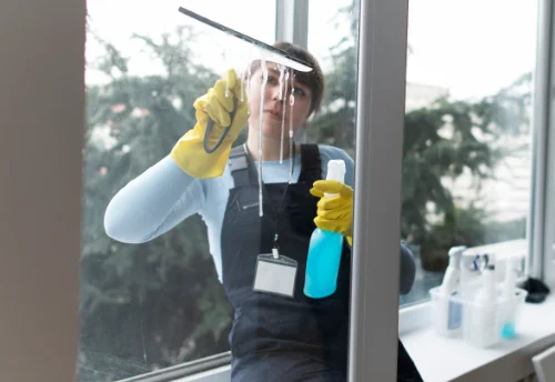 Nettoyage de vitres intérieures et extérieures à Saint-Bonnet-de-Condat